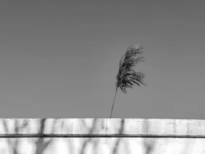 King Casino Aplicación móvil